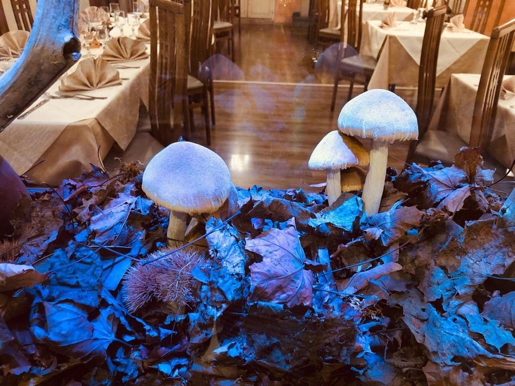 Hotel Caligiuri Decollatura エクステリア 写真